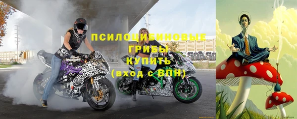 Альфа ПВП Алексин